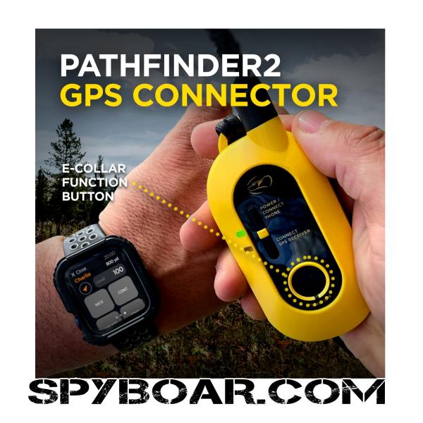 GPS dog collar Dogtra Pathfinder 2 for monitoring and upbringing