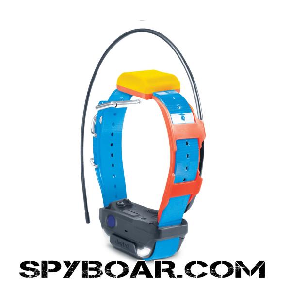 Advanced GPS Tracking for Dogs with Smartphone Integration – Dogtra Pathfinder 2