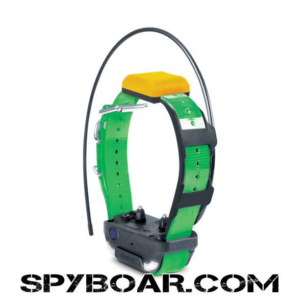 Advanced GPS Tracking for Dogs with Smartphone Integration – Dogtra Pathfinder 2