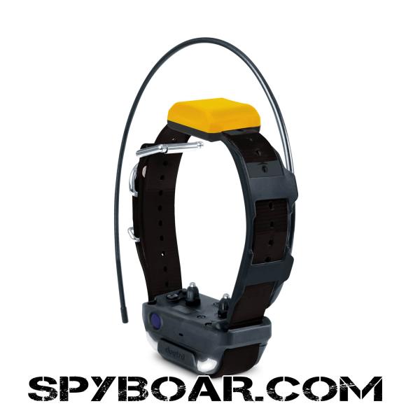 Advanced GPS Tracking for Dogs with Smartphone Integration – Dogtra Pathfinder 2