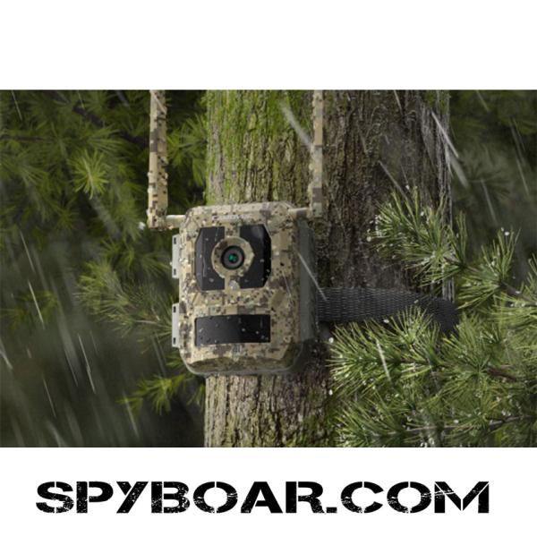 4G LTE свързаност с Live View