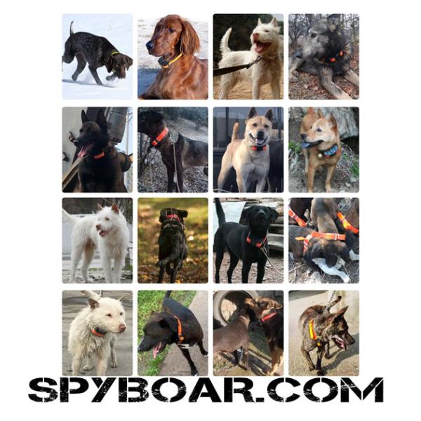 GPS + Beidou + AGPS + LBS