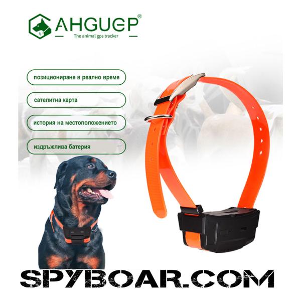 GPS тракерът T10 за проследяване на домашни любимци