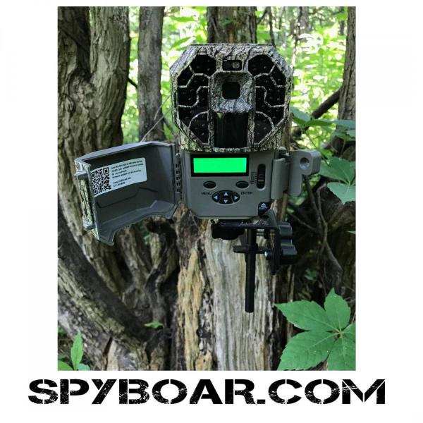 Stealth Cam G45NGX in action