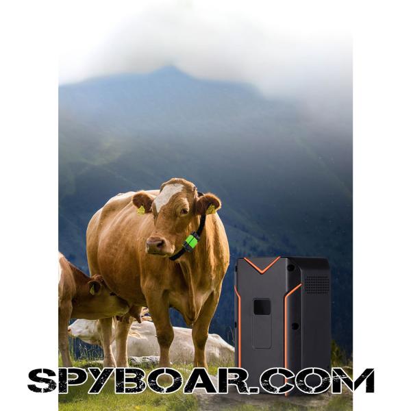 следене в слаб обхват