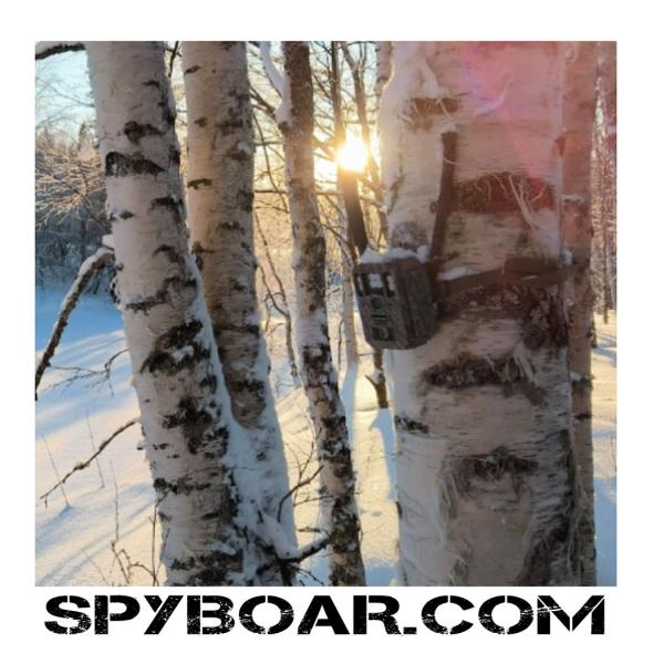 нощно виждане в цвят или черно-бяло